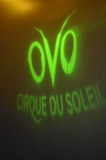 Cirque du Soleil OVO at the Santa Monica Pier Cirque du Soleil OVO at the Santa Monica Pier