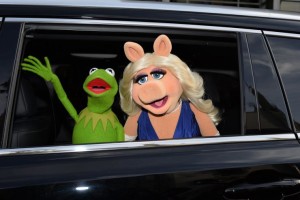 The Muppets