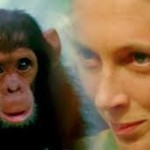 jane goodall documentary