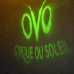 Cirque du Soleil OVO: A Smashing Success in Santa Monica