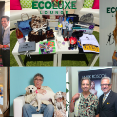 The Penthouse View from the EcoLuxe Lounge