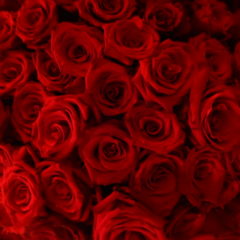 12 Great Gifts for Valentine’s Day February 14